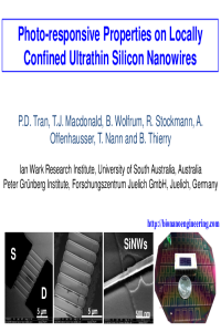 Poster PDF